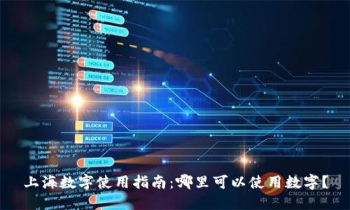 上海数字使用指南：哪里可以使用数字？