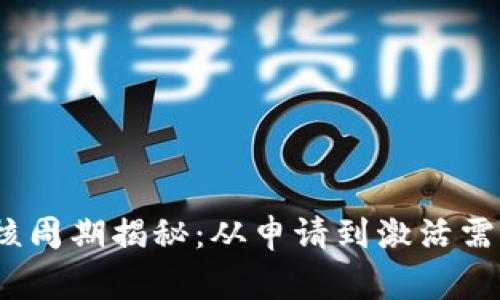数字审核周期揭秘：从申请到激活需要多久？